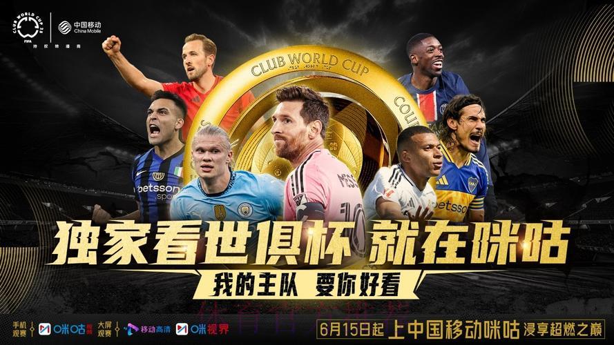 世界杯全程直播：顶级足球盛宴全球实时共享